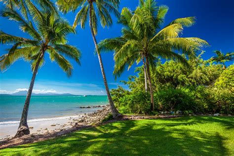 The 5 Best Beaches In Port Douglas Australia