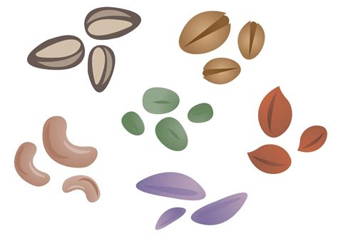 Seeds Vector Art Icons And Graphics For Free Download