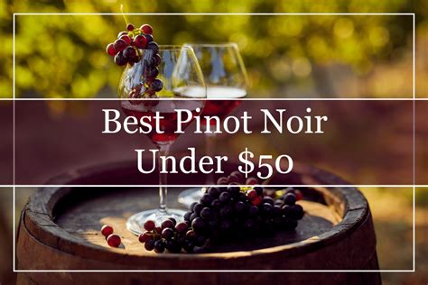 10 Best Pinot Noir Wines Under 50 2023 Youll Love