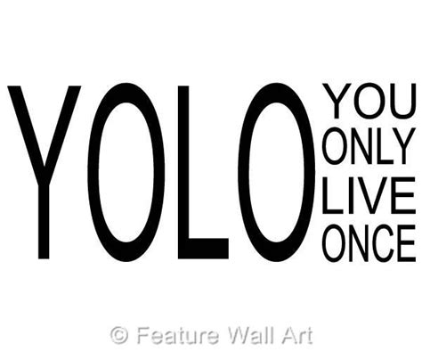 YOLO You Only Live Once Vinyl Wall Art Sticker Quote WA EBay