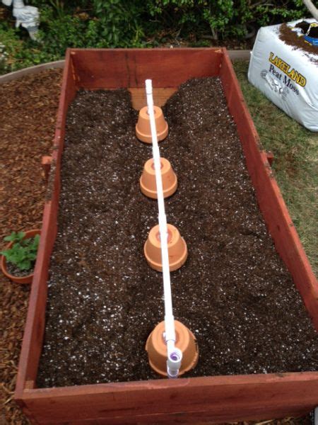 Self Watering Olla System Home Vegetable Garden Diy Raised Garden