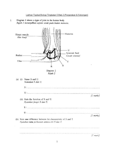 Reka bentuk dan teknologi (rbt) grade/level: Latihan Topikal Biologi Tingkatan 5 Bab 2