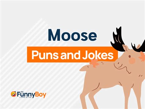 149 Funny Moose Puns To Make You Laugh Elk Successively