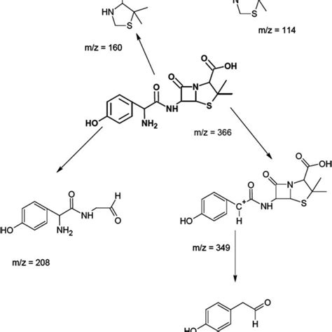Proposed Fragmentation Pathway Of Amoxicillin Download Scientific Diagram