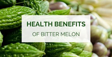 It also purifies blood because of its blood purifying properties. What Are The Health Benefits of Bitter Melon (Bitter Gourd)?