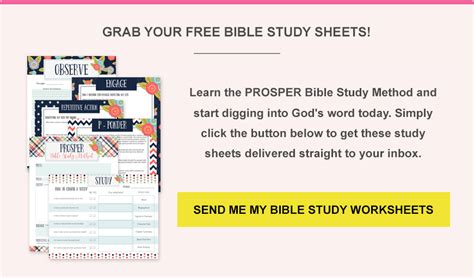 7 Easy Steps To Bible Study For Beginners