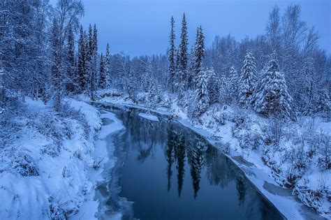 Earth Winter Alaska Forest Reflection River Snow Hd Wallpaper