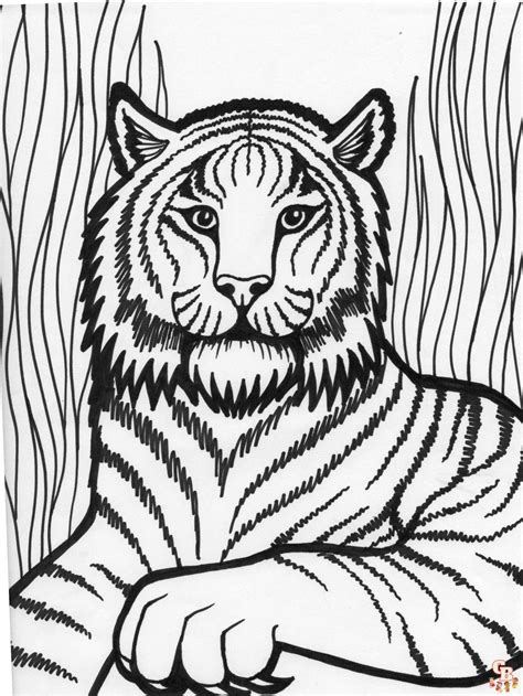 Tiger Coloring Pages Print And Color For Fun Gbcoloring