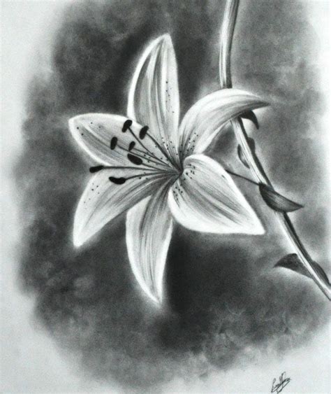 Feel free to explore, study and enjoy paintings with paintingvalley.com. 45 Beautiful Flower Drawings and Realistic Color Pencil ...