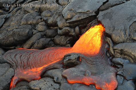 Hawaiian Lava Daily ~ Coastal Plain Surface Lava