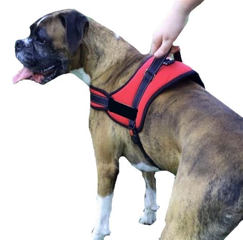 Control Dog Harness Large S M L Xl 2xl Stop Pulling