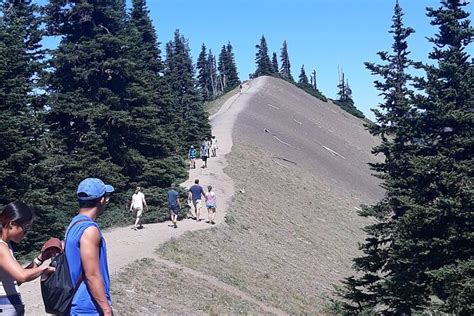 Olympic Natl Park Hurricane Ridge Private Tour From Seattle 2024