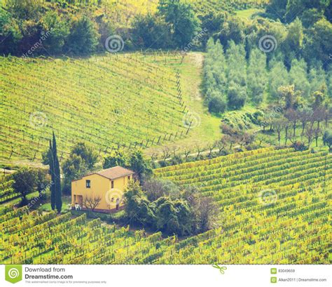 Yellow Farmhouse In Tuscany Stock Image Image Of Quiet Vineyard