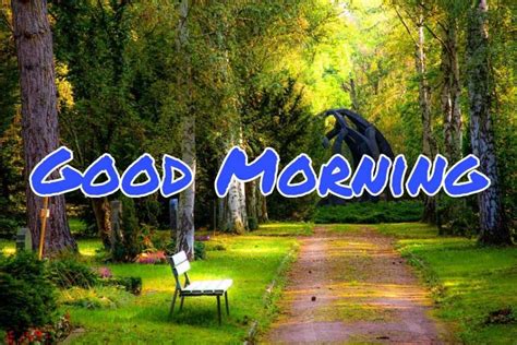 100 Good Morning Nature Images Hd Quotes Wishes 2021 Collection