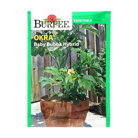 Burpee Okra Baby Bubba Hybrid Seeds Shop Seeds At H E B