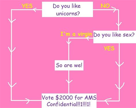 Voting For Dummies Ams Confidential