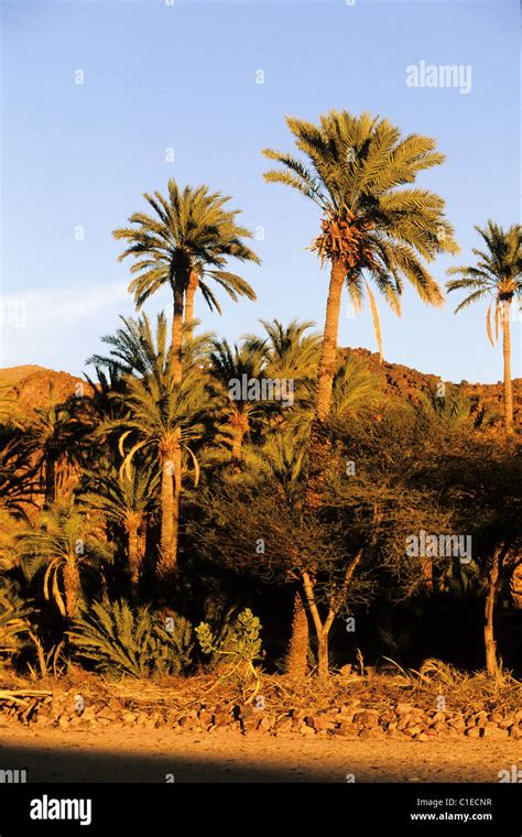 Timia Oasis Hi Res Stock Photography And Images Alamy