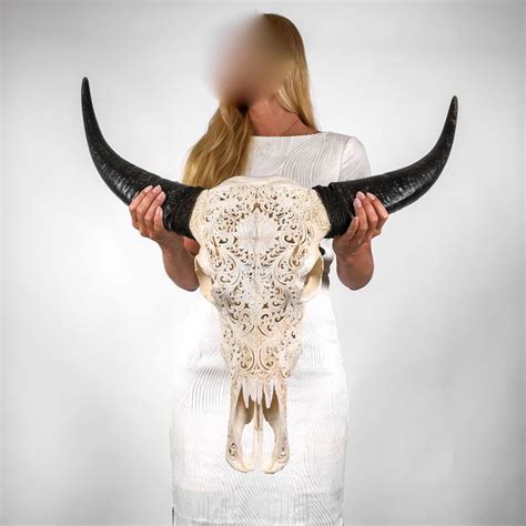 Skull Art Authentic Carved White Water Buffalo Skull Catawiki