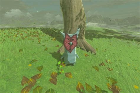 Breath Of The Wild Player Gets All 900 Korok Seeds In 10 Minutes With