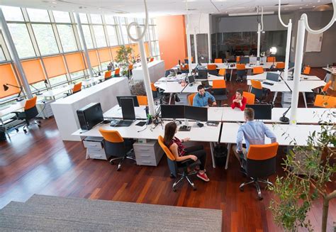 What Are The Different Types Of Office Layouts