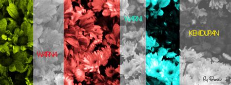 Warna-Warni Kehidupan | Sampul Facebook Ala Denok