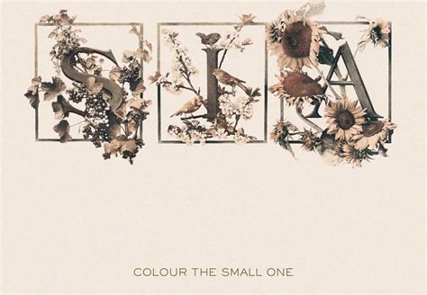Colour The Small One Sia Cd Album Muziek