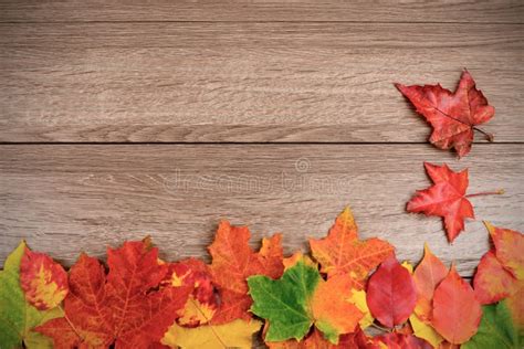 Autumn Leaves Over Wooden Background Stock Photo Image Of Empty