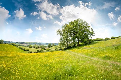 Best Landscapes Stock Photos Pictures And Royalty Free Images Istock
