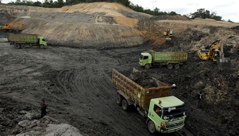 Perusahaan Tambang Batubara Terbesar Di Kalimantan Timur Seputar Usaha