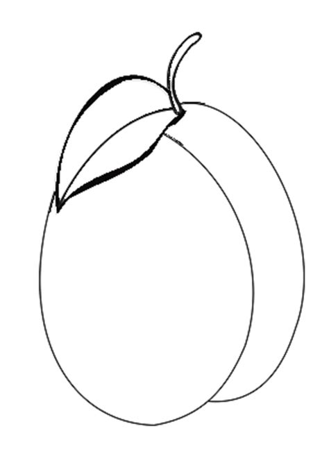 Coloring Pages Free Plum Fruits Coloring Pages For Kids