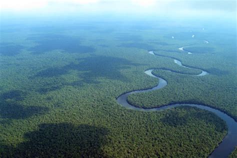 Congolese Experts Needed To Protect Congo Basin Rainforests