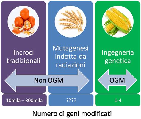 What does ogm stand for? OGM, la grande paura | Italia Unita per la Scienza