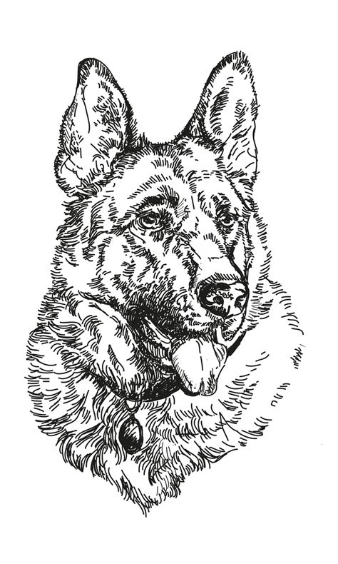 German Shepherd Vector Hand Drawing Illustration 11594479 Vector Art At