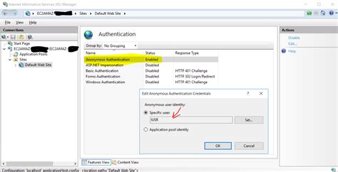 Iis Hosting ASP NET In IIS Gives Access Is Denied Stack Overflow