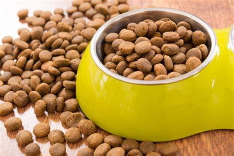 A lawsuit filed against the maker of a popular dog food has triggered concerns among california pet owners. SPORTMIX Pet Food Recall Class Action Lawsuit