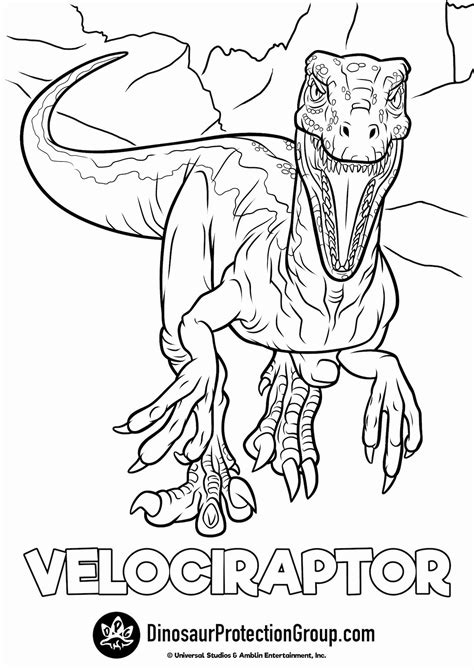Jurassic World Coloring Page Favourite Coloring Raptor Jurassic Park Blue Pages Dinosaur In