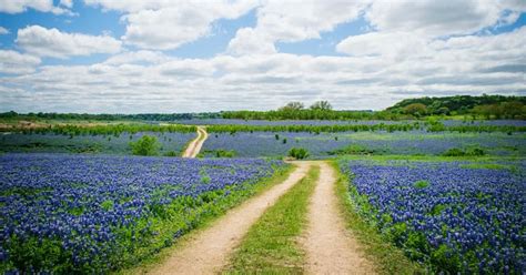 Texas 5 Best Road Trips