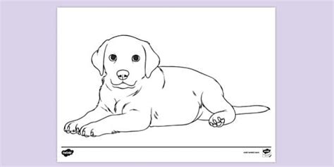 Free Cute Puppy Colouring Page Colouring Activity For Kids