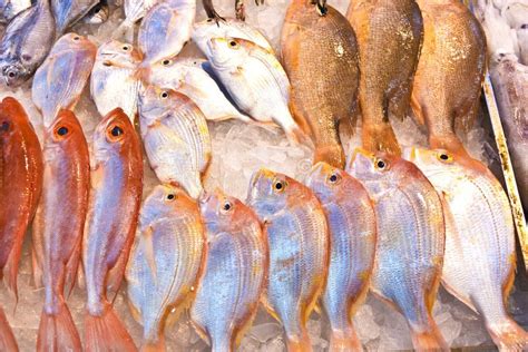 Whole Fresh Fishes Are Offered Stock Photo Image Of Detail Color