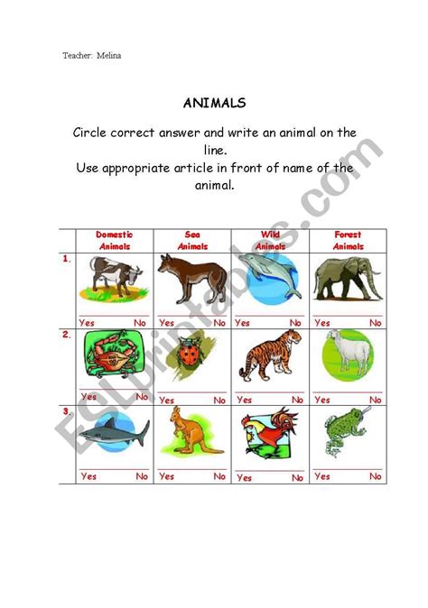 Kinds Of Animals Esl Worksheet By Melinab