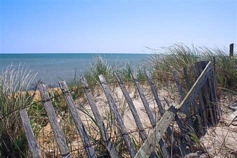Cape Cod Beach Dune And Snow Fence Stock Photo Image Of Dune Chatham