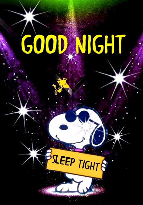 Pin By C R On Snoopy Good Night Greetings Snoopy Images Good Night