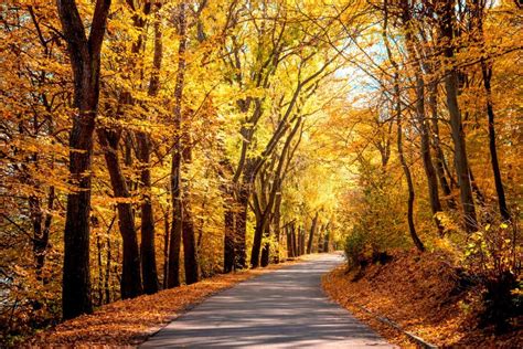 Mystic Charming Enchanting Landscape With A Road In The Autumn F Stock