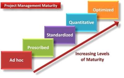 Project Management Maturity Model Navigating Through The Issues