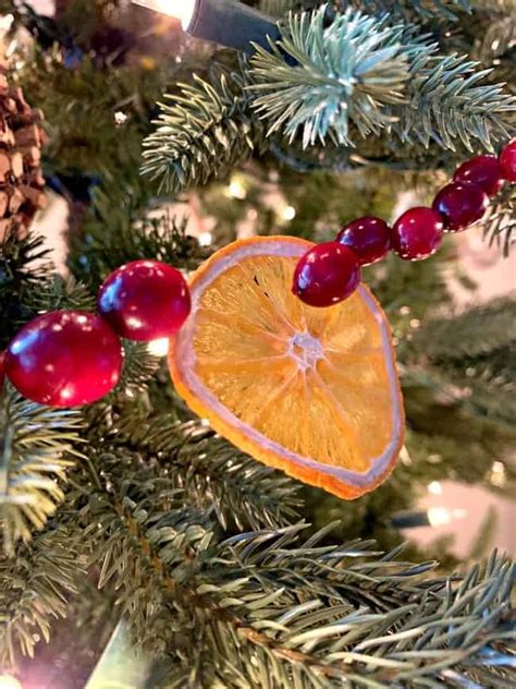 A Diy Christmas Garland Made With Dried Orange Slices And Cranberries