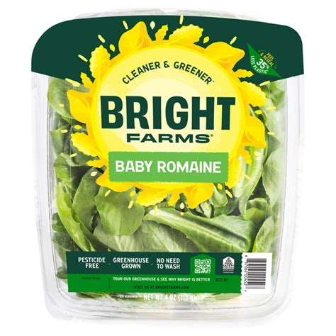 Save On Brightfarms Baby Romaine Lettuce Order Online Delivery Giant