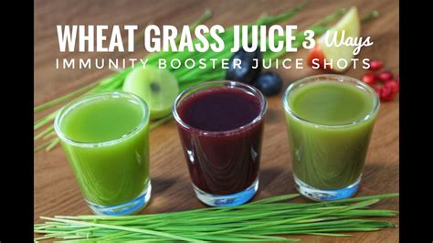 Wheatgrass Juice Shotsimmunity Booster Wheatgrass Juice स्वास्थदायक