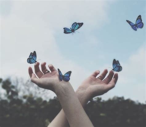 Find the perfect blue monarch butterfly stock illustrations from getty images. Pin by Nicole James on ae: octavia | Ravenclaw aesthetic ...