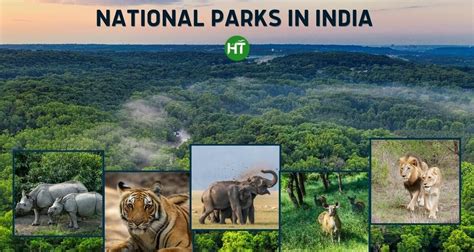 Most Popular National Parks In India Everyone Must Visit