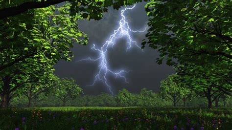 Cg Digital Art Landscapes Trees Storm Lightning Wallpapers Hd